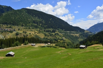 Sommer-14
