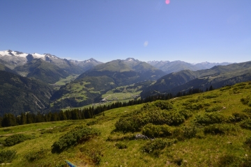 Sommer-39