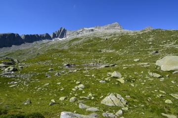 Sommer-42