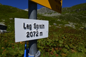 Sommer-43
