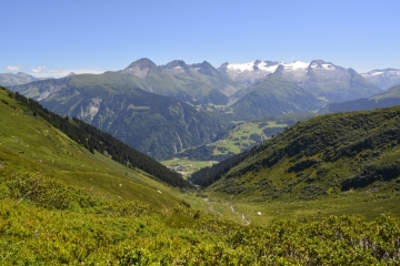 Sommer-45