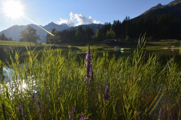 Sommer-5
